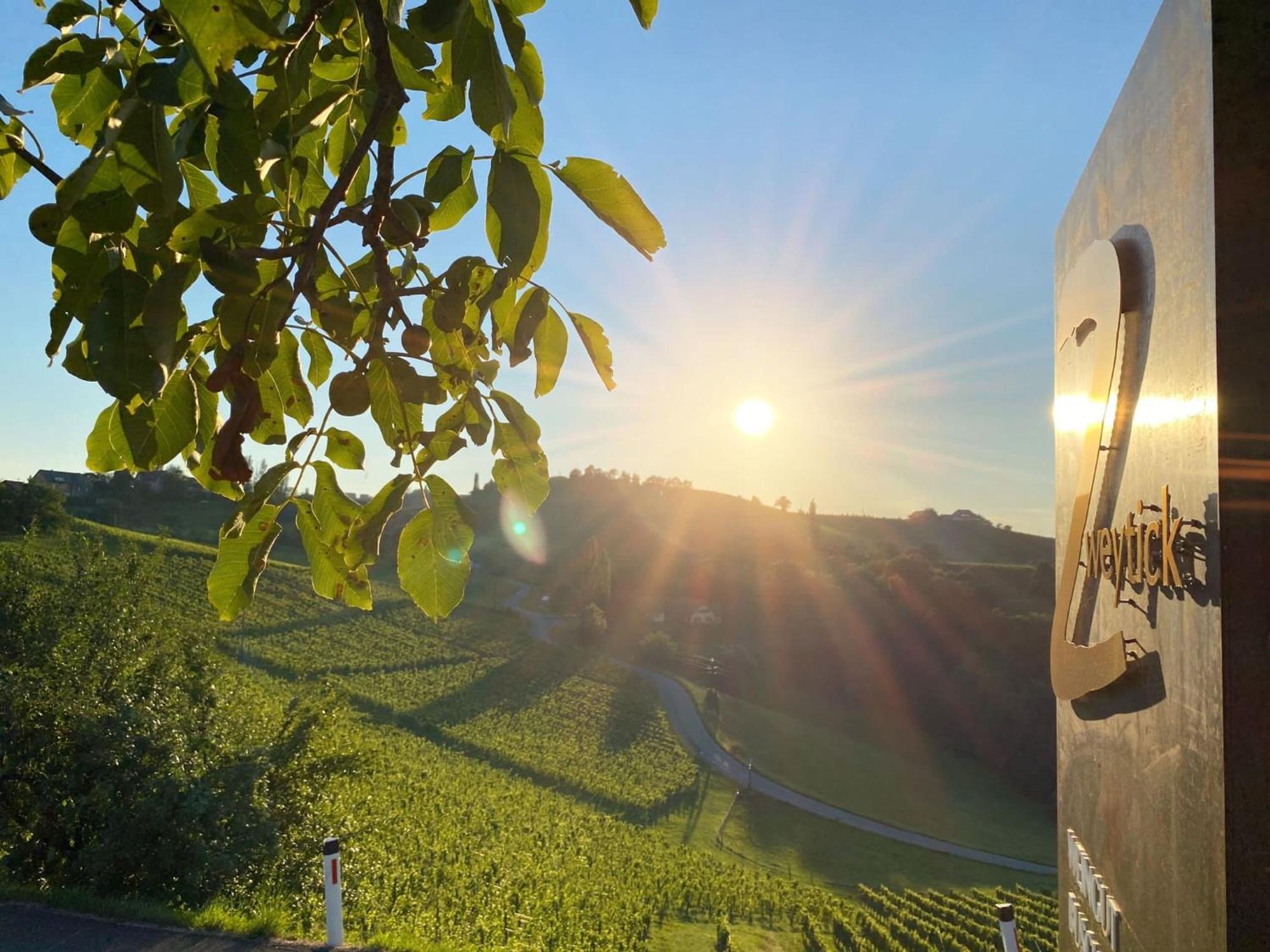 Zweytick Gaestezimmer Weingut Рач-ан-дер-Вайнштрассе Экстерьер фото