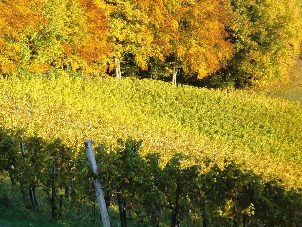 Zweytick Gaestezimmer Weingut Рач-ан-дер-Вайнштрассе Экстерьер фото
