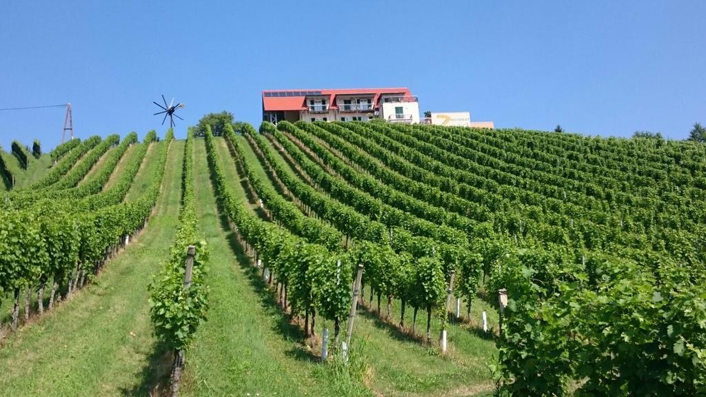 Zweytick Gaestezimmer Weingut Рач-ан-дер-Вайнштрассе Экстерьер фото