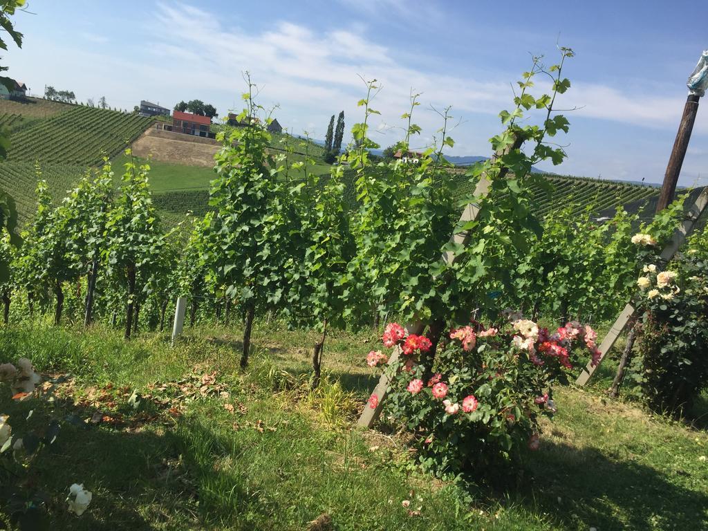 Zweytick Gaestezimmer Weingut Рач-ан-дер-Вайнштрассе Экстерьер фото